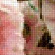 Preview of cross stitch pattern: #432565