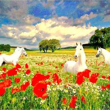 Cross stitch pattern: #433167