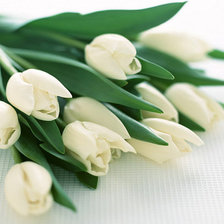 Cross stitch pattern: #433201