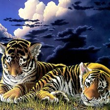 Cross stitch pattern: #433203
