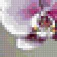 Preview of cross stitch pattern: #433299