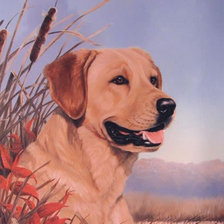 Cross stitch pattern: #433387