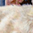 Preview of cross stitch pattern: #433731