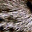 Preview of cross stitch pattern: #433777