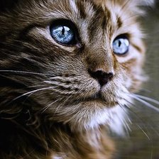 Cross stitch pattern: #433777