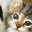 Preview of cross stitch pattern: #434686