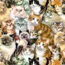 Cross stitch pattern: #434686