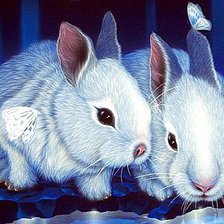 Cross stitch pattern: #434742