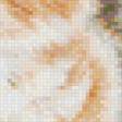Preview of cross stitch pattern: #434841