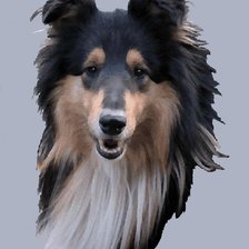 Cross stitch pattern: #434976