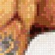 Preview of cross stitch pattern: #436224