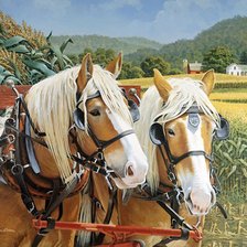 Cross stitch pattern: #436414