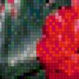Preview of cross stitch pattern: #436785