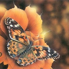 Cross stitch pattern: #436911