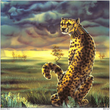 Cross stitch pattern: #436924