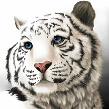 Cross stitch pattern: #437322