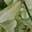 Preview of cross stitch pattern: #437347