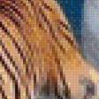 Preview of cross stitch pattern: #438700