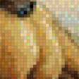 Preview of cross stitch pattern: #438889