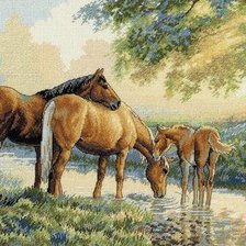 Cross stitch pattern: #438889