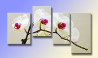 Cross stitch pattern: #439656