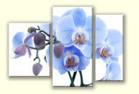 Cross stitch pattern: #439660
