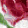 Preview of cross stitch pattern: #440302