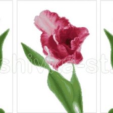 Cross stitch pattern: #440302