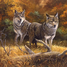 Cross stitch pattern: #440563