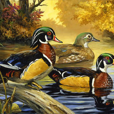 Cross stitch pattern: #440568