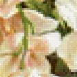 Preview of cross stitch pattern: #440696