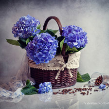 Cross stitch pattern: #440721