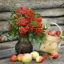 Cross stitch pattern: #441433