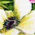 Preview of cross stitch pattern: #441493