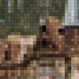 Preview of cross stitch pattern: #441521