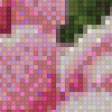 Preview of cross stitch pattern: #441545