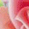 Preview of cross stitch pattern: #441680