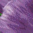 Preview of cross stitch pattern: #441856