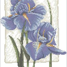 Cross stitch pattern: #442449