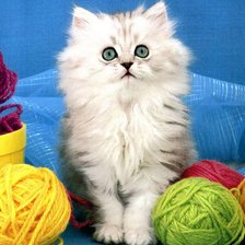 Cross stitch pattern: #442468