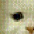 Preview of cross stitch pattern: #442469