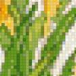 Preview of cross stitch pattern: #442578