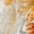 Preview of cross stitch pattern: #442591