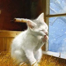 Cross stitch pattern: #442950