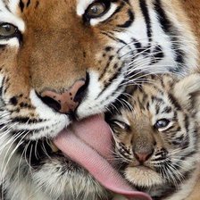 Cross stitch pattern: #443219