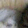 Preview of cross stitch pattern: #443237