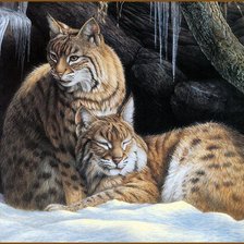 Cross stitch pattern: #443516
