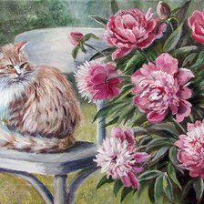 Cross stitch pattern: #443623