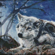 Cross stitch pattern: #443950