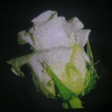 Cross stitch pattern: #444247